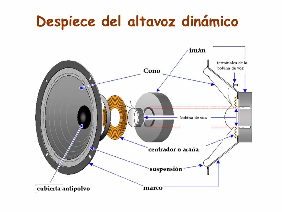 How speaker works