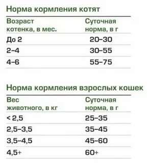 Норма корма котенку 3 месяца
