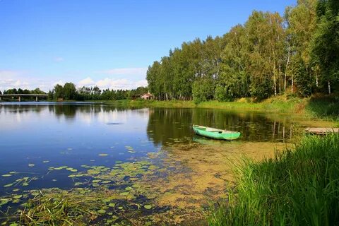 А у реки шаховская