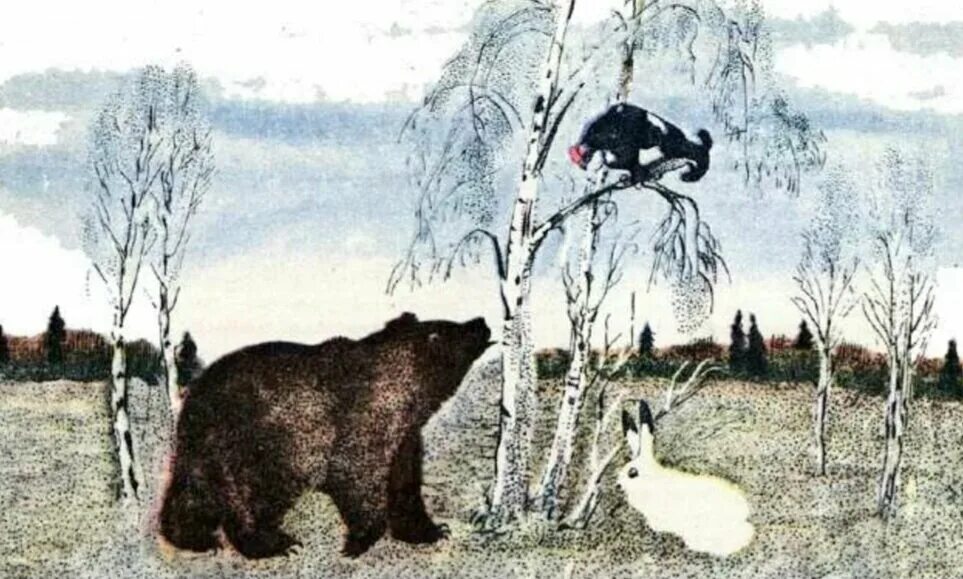 Басня медведь и заяц. Бианки заяц косач. заяц косач медведь и дед мороз. сказка заяц косач медведь и дед мороз.
