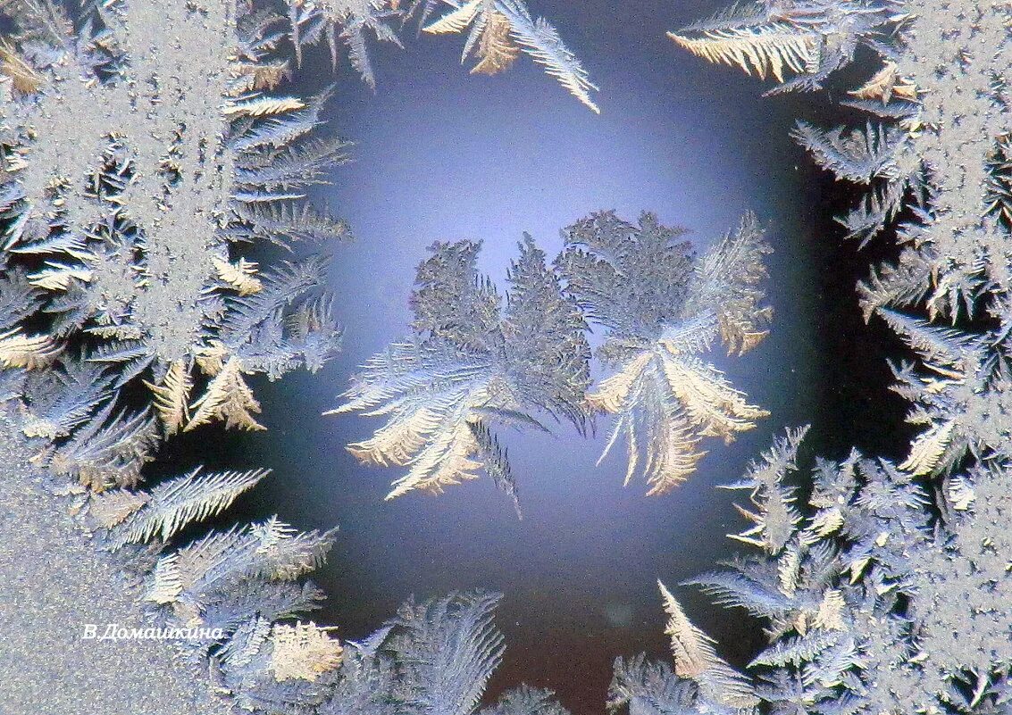 иней на окошке. иней на окошке. морозные узоры. зимние узоры. трихиты иней.