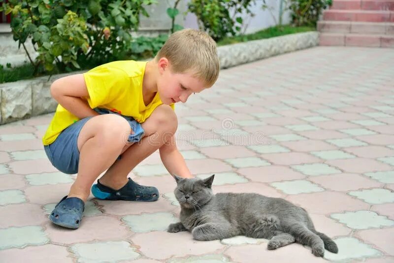 Киска друг. Кошка и мальчик на улице. Мальчик гладит кота. Гладить кошку на улице. Гладит кота на улице.