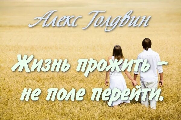 Не поле перейти 2. Жизнь прожить не поле перейти. Николай попов книги. Жизнь прожить не поле перейти смысл. Николай попов книги.