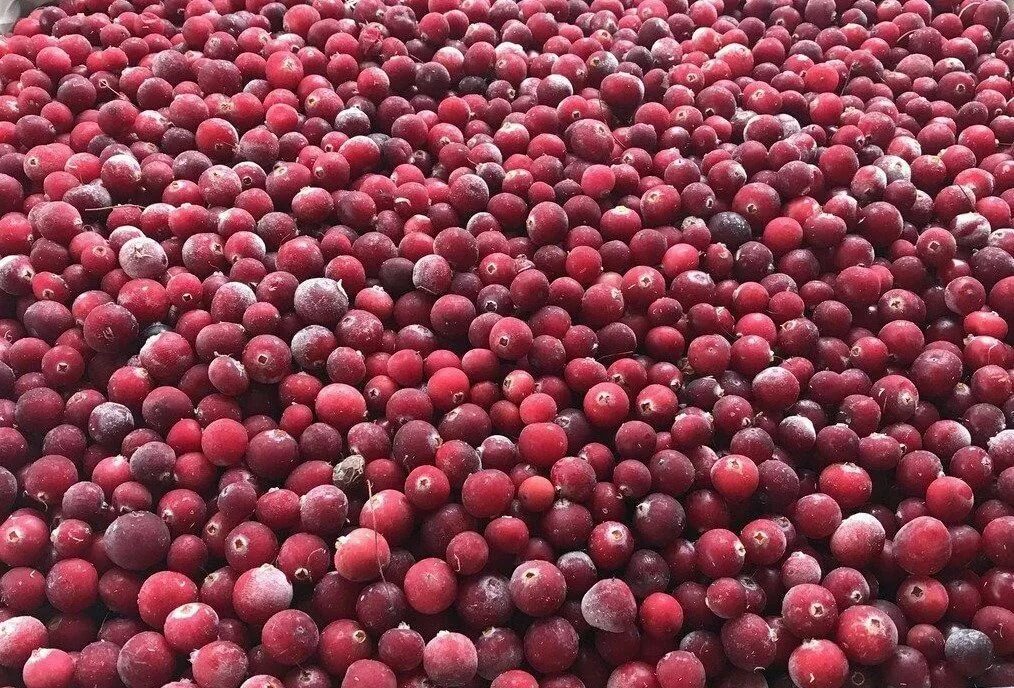 Калина свежемороженая. Брусника китай. Брусника с/м. Frozen cranberries. Брусника свежемороженная.