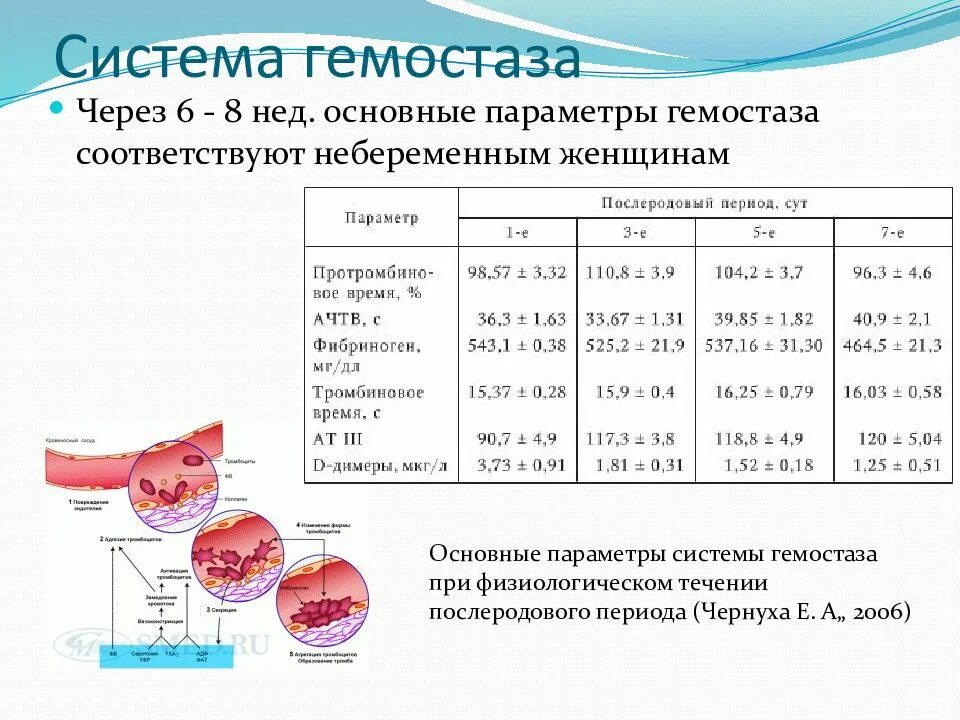 Крови 17 недель. Основные показатели гемостаза. Нормальные показатели гемостаза. Показатели гемостаза у беременных. Нормы системы гемостаза.