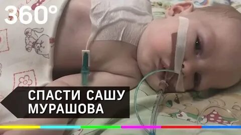 Спасите сашу