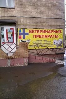 Ветеринарные арзамас