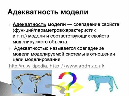 Как правильно адекватно