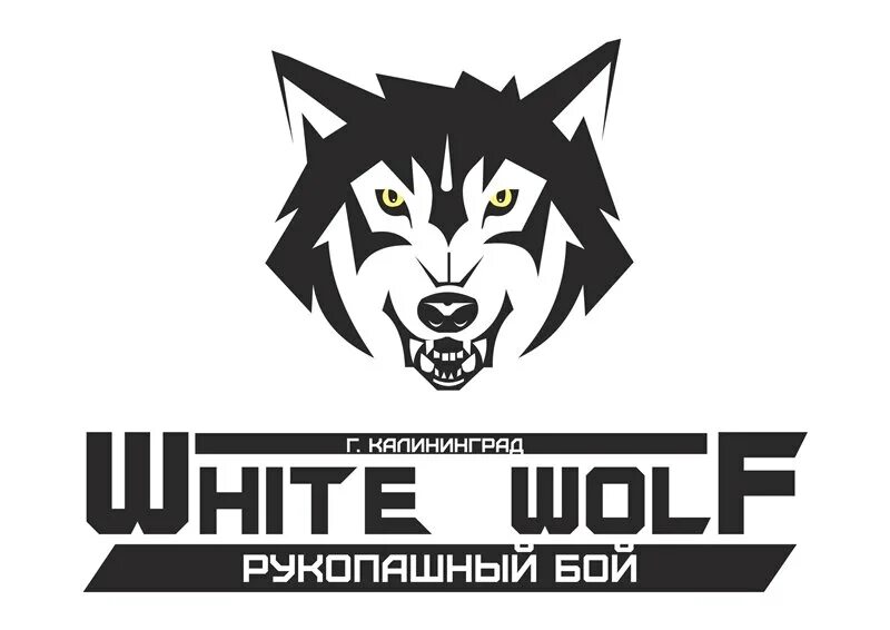 Белые волки новосибирск. Белый волк калининград. Волк. Тундровый волк. Белый волк калининград.
