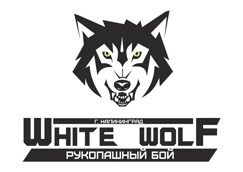 White Wolf Калининград. Клуб рукопашного боя White Wolf, Калининград. Белый волк Калининград рукопашный бой. Белый волк клуб рукопашного боя Калининград. Wolf's club