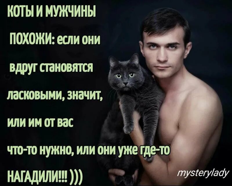 имена для котят мальчиков редкие и красивые. мужчина лежит на мужчине. женские слабости. назвал черного кота коксом. кошка обнимает.