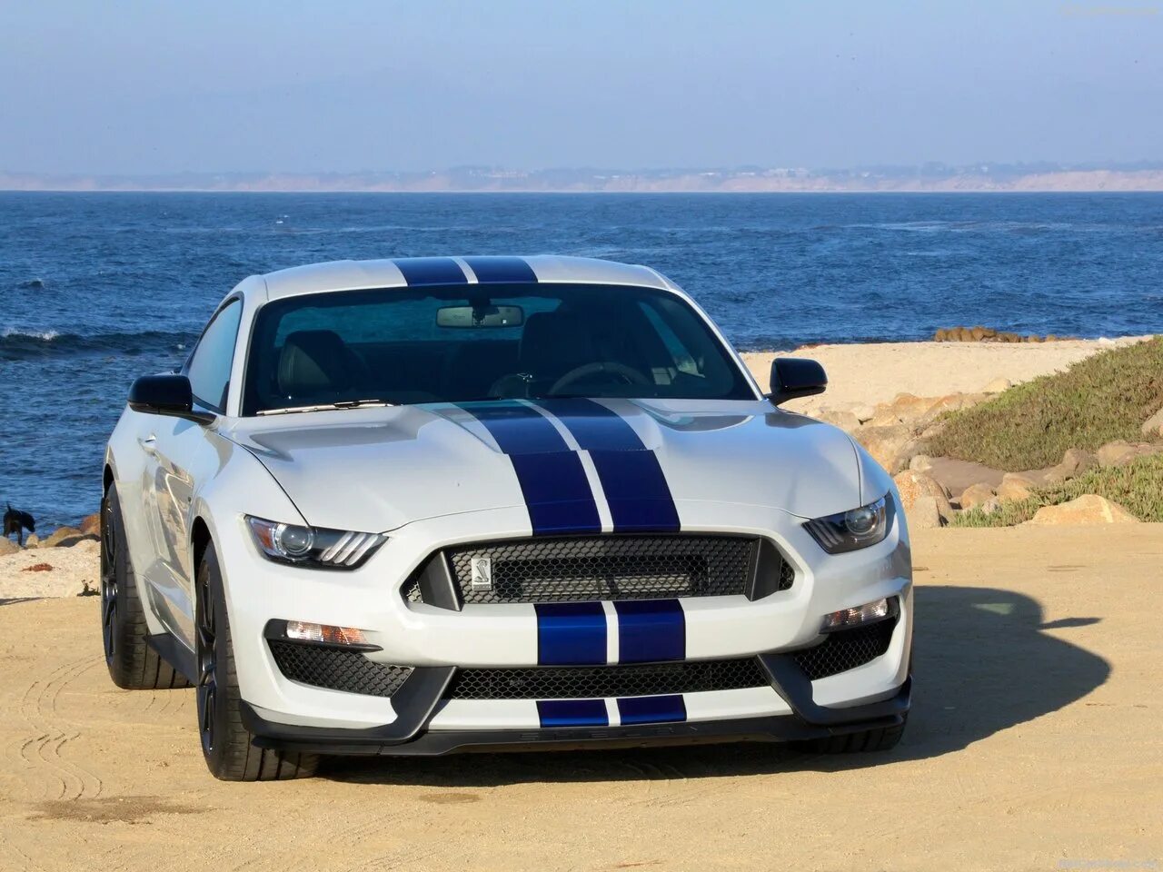 Mustang shelby gt. Форд Мустанг Шелби gt 350. Форд Мустанг Shelby gt350. Форд Мустанг Шелби 2015. Ford Mustang Shelby gt350 2015.