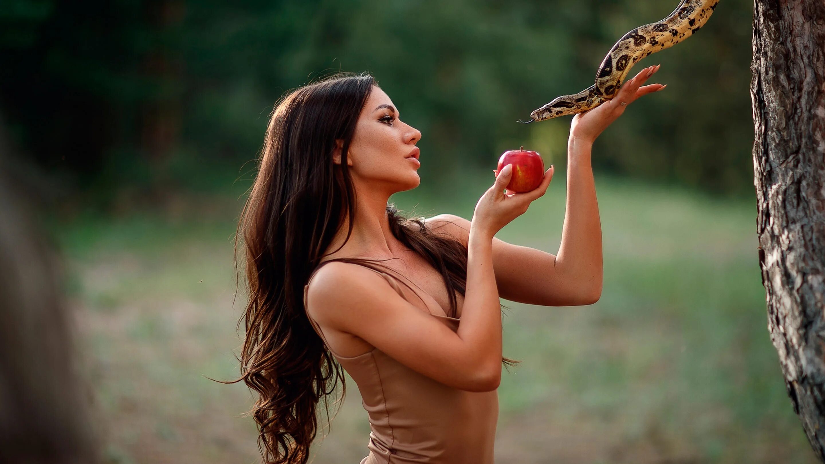 девушка змея. девушка змея. змеи медузы горгоны. девушка змея. девушку называют змея.