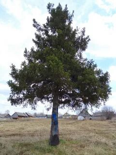 Телефоны городище