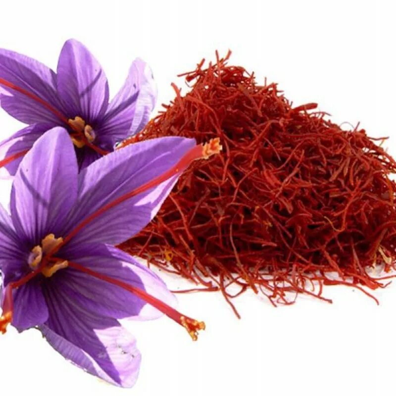 Шафрановое масло китайское. Шафран в парфюмерии духи. Шафран в парфюмерии. Шафран михельсона. Крокус приправа шафран.