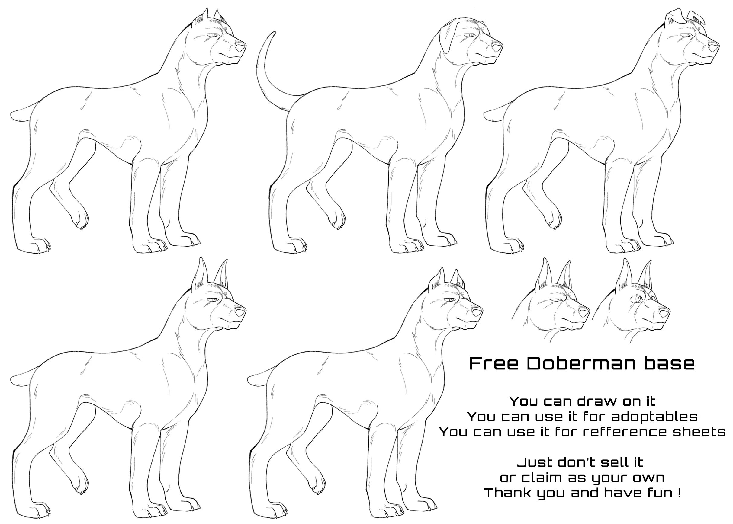 Доберман фурсона. Лайны добермана. Анатомия добермана для рисования. Доберман арт лайн. Части лайн