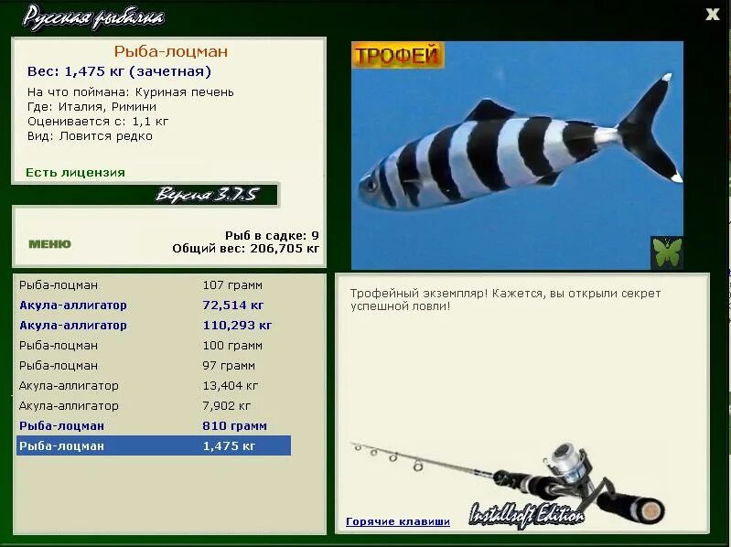 лоцман симферополь афиша