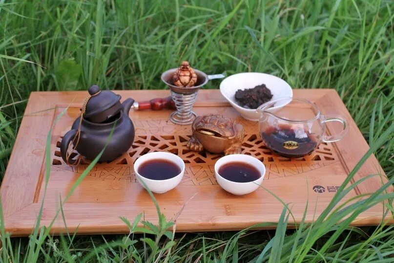 Чайная церемония в парке галицкого. Чайная церемония на природе. Китайский чай на природе. Японская чайная церемония на природе. Китайское чаепитие на природе.