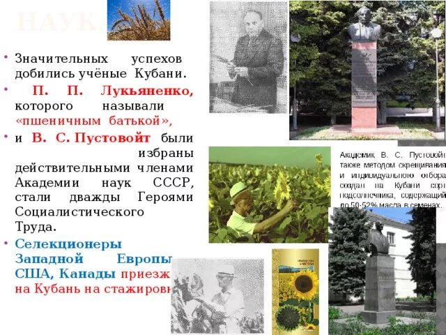 Труженики краснодарского края и их достижения. Ученые Кубани. Герои кубанских полей доклад. Герои труженики Кубани. Доклад труженики Кубани.