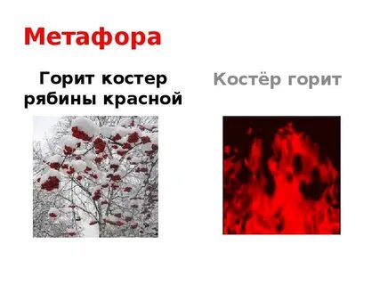 Горящих костров рябин