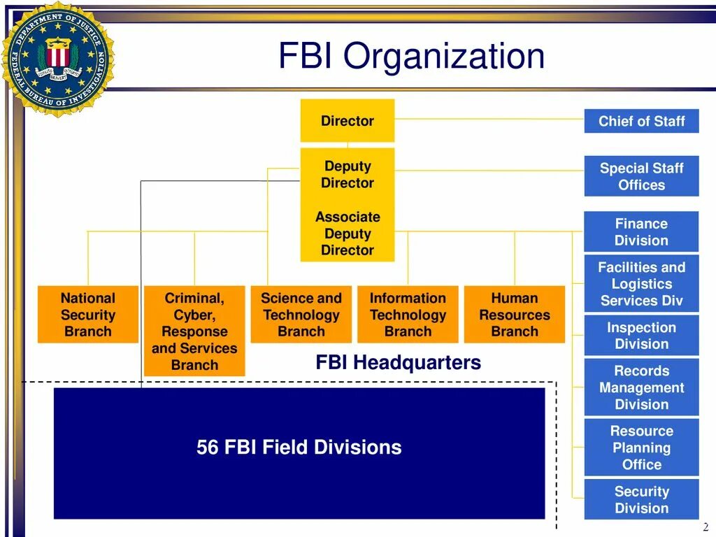 Иерархия должностей в фбр. Функциональная структура xiaomi. Иерархия фбр сша. Структура фбр. Fbi структура.