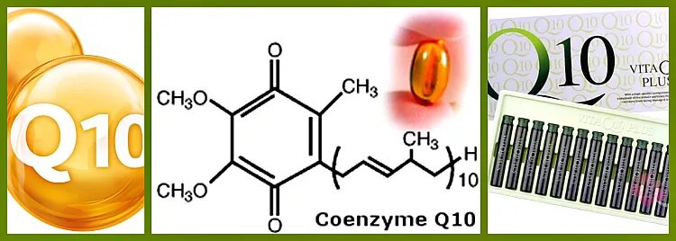 Аналог ку 10. Коэнзим q10 роль в организме человека. Антиоксидант коэнзим q10. Коэнзим q10 в продуктах. Коэнзим q10 польза.