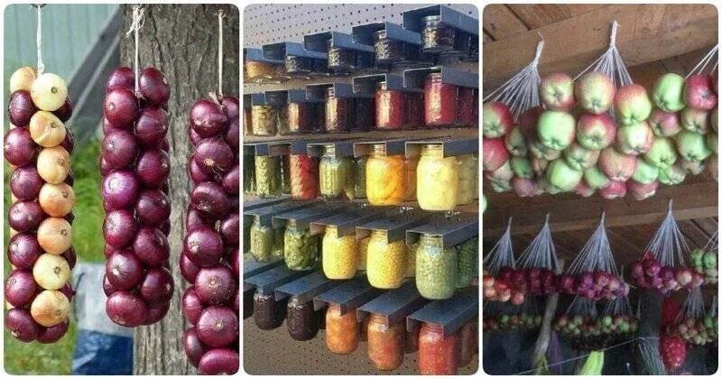 Как хранить яблоки в подвале