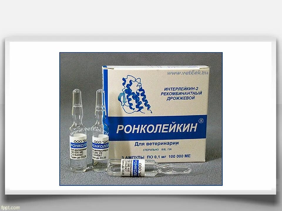 Иммуномодулятор это. Иммуномодуляторы. иммуномодуляторы список эффективных препаратов. дорогие иммуномодуляторы. противовирусные препараты иммуномодуляторы и иммуностимуляторы.