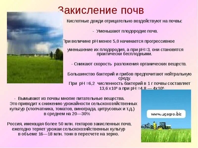 Кислотность почвы почвы. Растения в почве. Ph почвы. Чем закислить почву. Определить кислотность почвы.