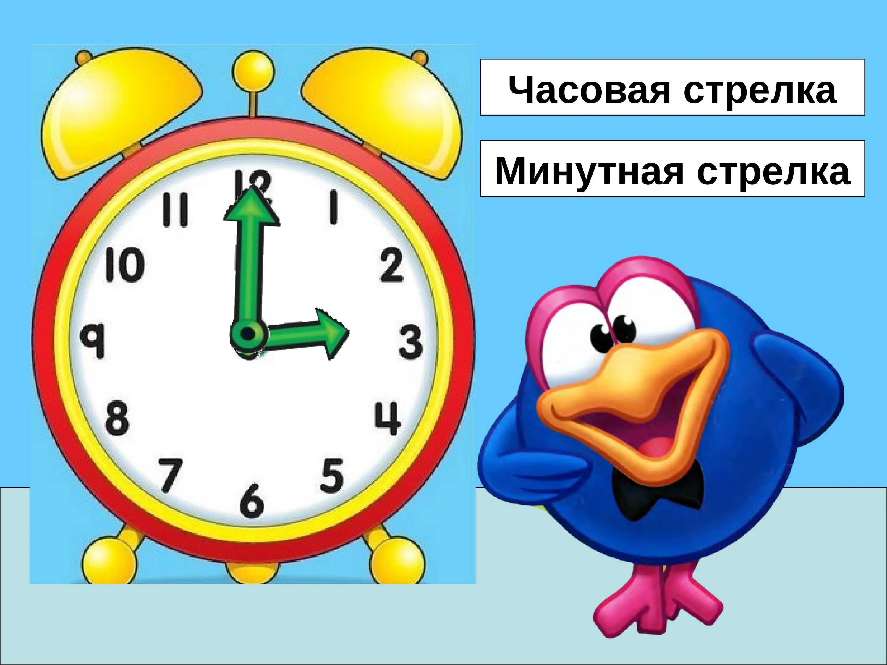 Включи показывай часы. Часы минутные для детей. Часы с минутной стрелкой. Часы для младших классов. Минутная и часовая стрелка.