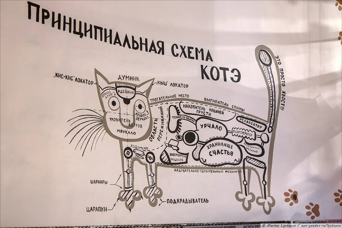 Котэ новый сборник 2023. Схема кота. Схема кота прикол. Схема котэ. Принципиальная схема кота.