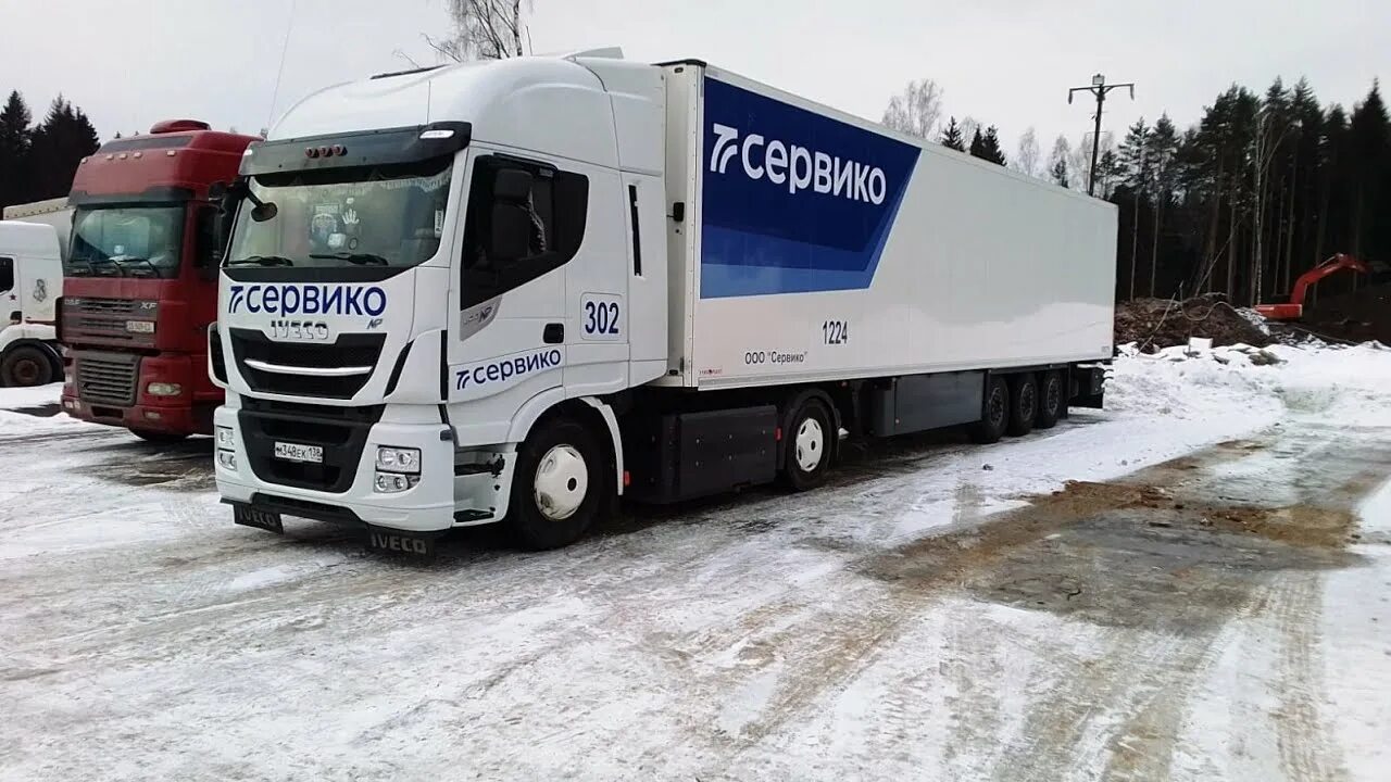 Тк сервико. Сервико логотип. Сервико фуры. Ивеко сервико. Сервико отзывы водителей.