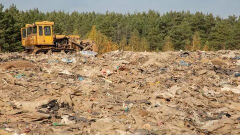 Рекультивация городских свалок