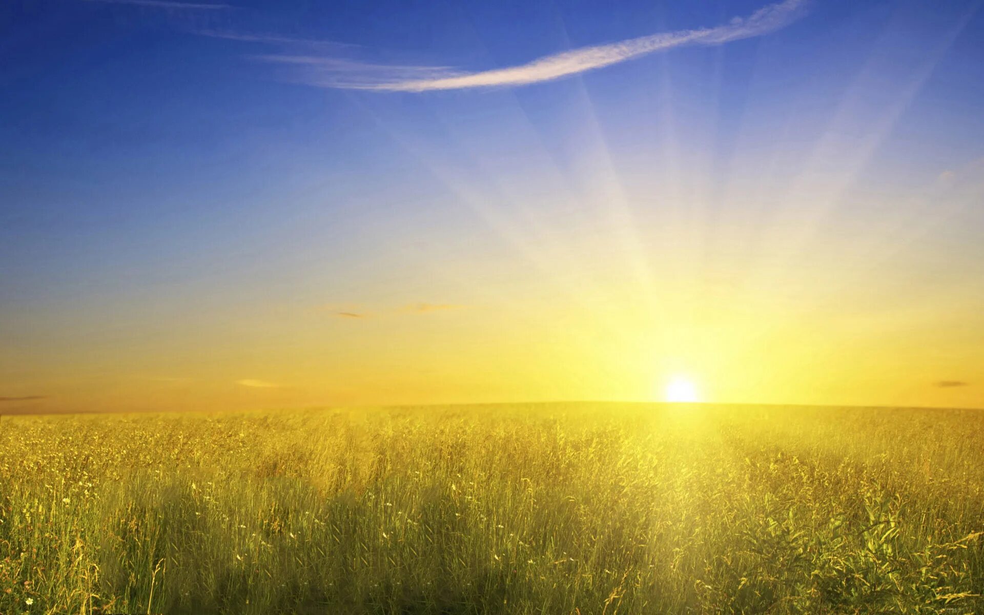 Солнечное небо. Оранжевый закат. Закат солнца. Рассвет солнца. Закат солнца.