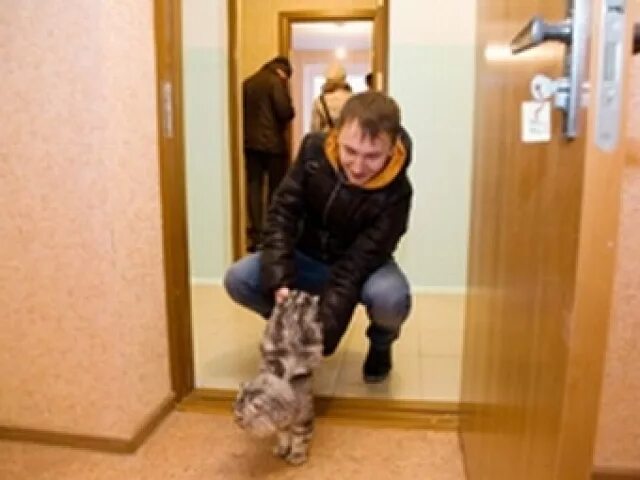 кот первый в дом. кот в квартире. семья в новой квартире. кошку запускают в новую квартиру. новоселье кошка.