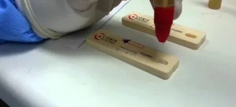 Кал методом пцр на хеликобактер