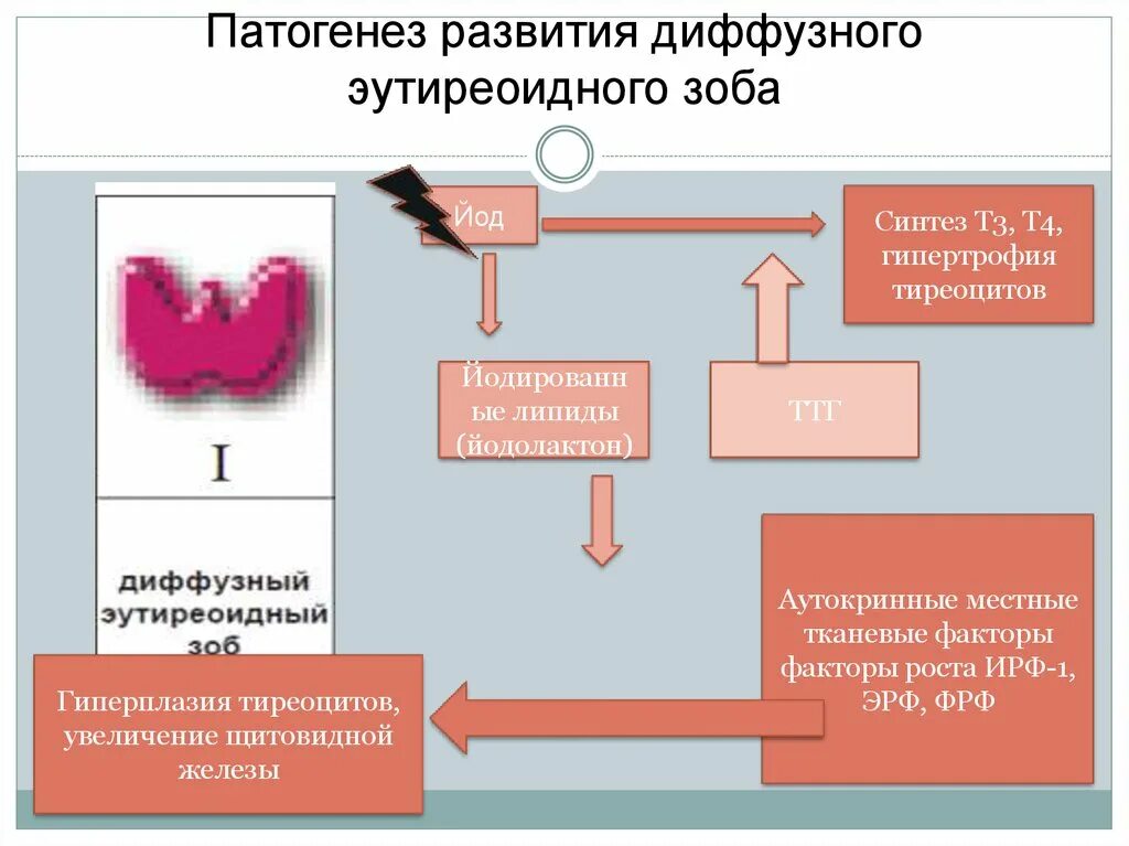 Диффузный зоб рекомендации. Патогенез диффузного зоба. Патогенез тиреотоксикоза патофизиология. Гормоны щитовидной железы патогенез. Многоузловой токсический зоб этиология.