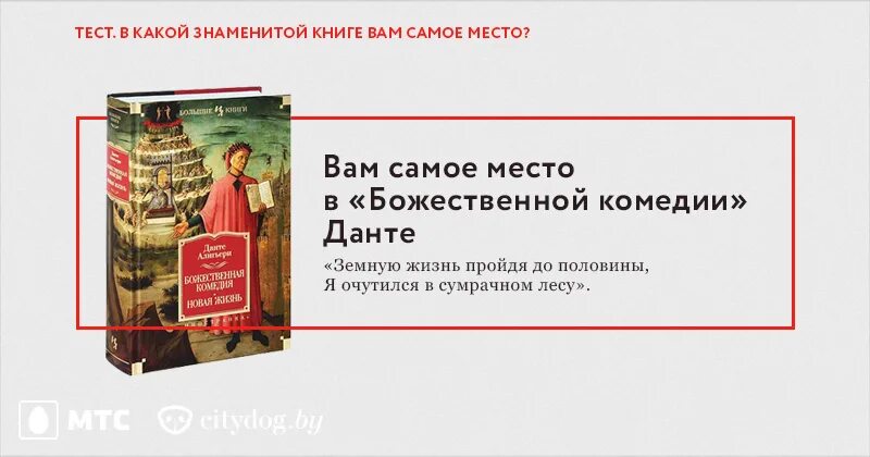 Тест какая я книга. Книга вам пакет нужен. Книжка перевертыш. То самое место книга. Земную жизнь пройдя наполовину я.