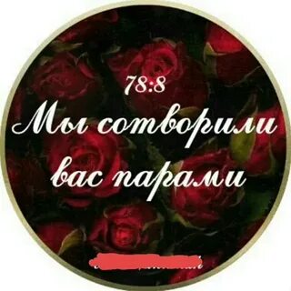 78 8 аят