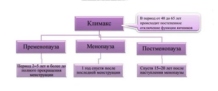 Пременопауза менопауза постменопауза. Периоды климакса у женщин. Фазы климактерического периода у женщин. Климактерический период схема. Признаки климакса у женщин после 50 симптомы