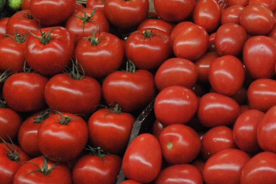 Помидоры сорт израиль. Томат звезда характеристика и описание сорта. Томат снегирек 0,05гр горшечный 25-30см черри гавриш,. Томат бальзам чудо-помидор 15шт. Томат звезда сибири семена.