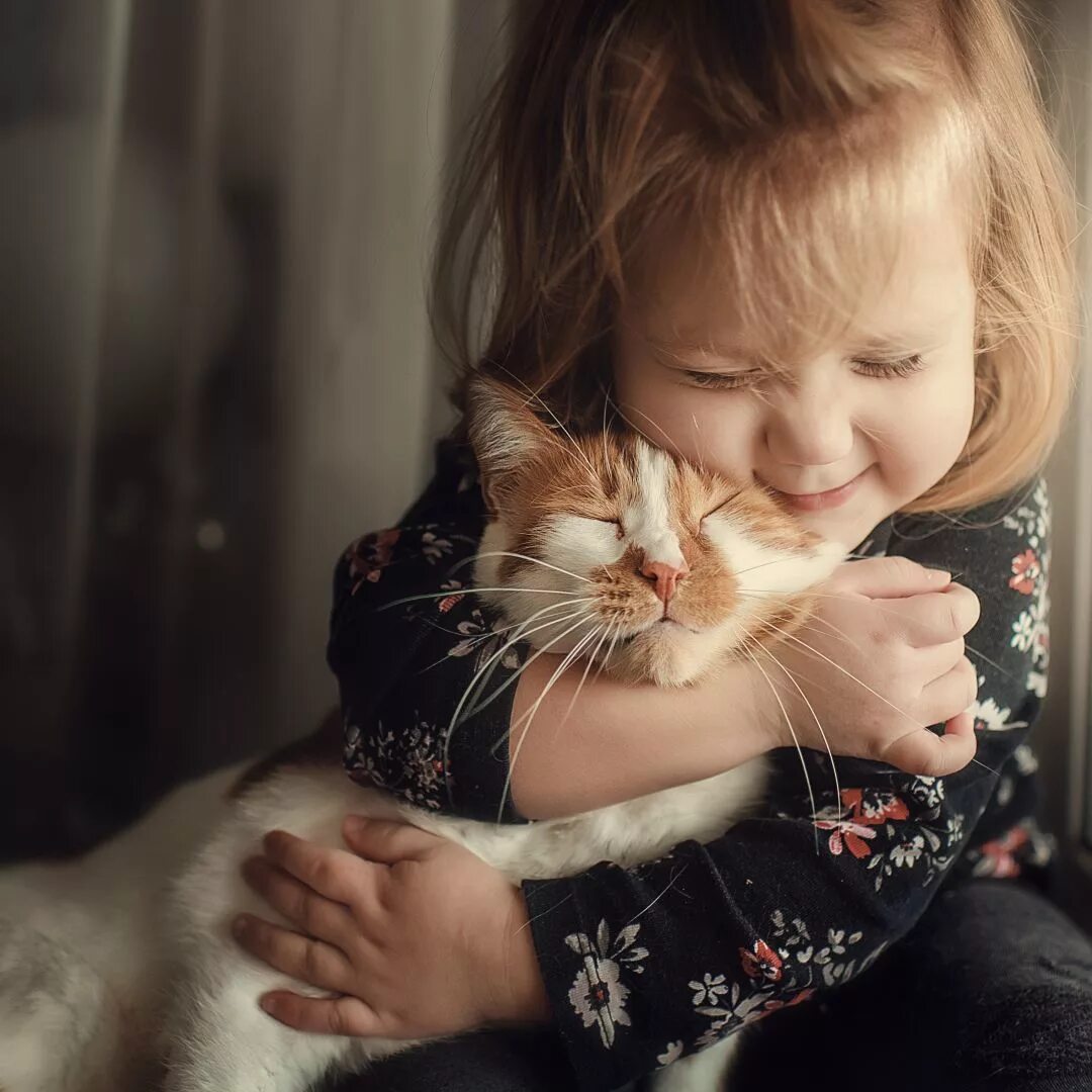 Обнимать кошку. Девочка обнимает кота. Кот обнимает. Ребенок обнимает кошку. Кот для детей.