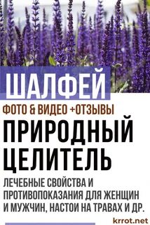 Шалфей для женщин противопоказания