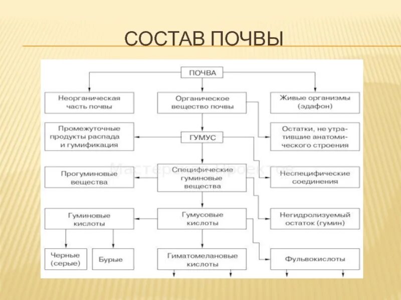 Состав почвы. Состав почвы схема. Состав и свойства почвы схема. Компоненты почвы схема. Состав почвы схема 6 класс.