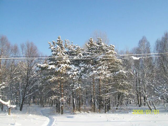 Моторское Красноярского края Каратузского района. Каратузское зимой. Фото зима Каратузское. Каратузский район красоты. Погода моторское каратузского