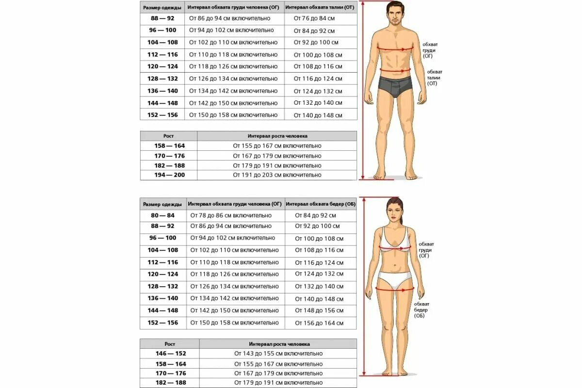Бедра у мужчин норма. Размеры спецодежды. Параметры размеров спецодежды. Таблица размеров спецодежды для женщин. Размеры одежды спецодежды.