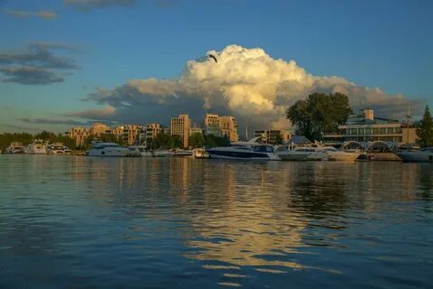 Бухта москва