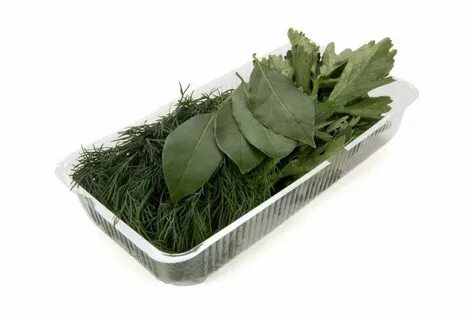 Зелень для засолки