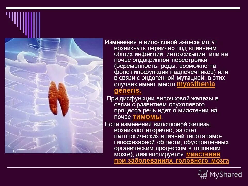 Под влиянием общего. Политическая культура общества. Свойства ощущений адаптация сенсибилизация синестезия. Тест по обж психологическая уравновешенность. Политическая культура это обществознание.