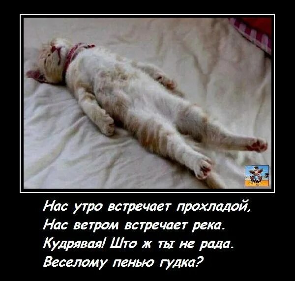 Нас утро встречает прохладой песни. НПС утро встречает прхлалой. Нас утро встречает прохладой. Нас утро встречает прохладой текст. Нас утро встречает прохладой стихи.